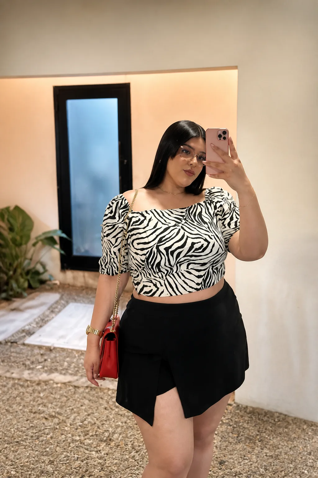 Bold Zebra Print Crop Top Combo